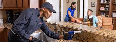 Best Pest Control for Multi-Family Homes  in Belle Rose, LA